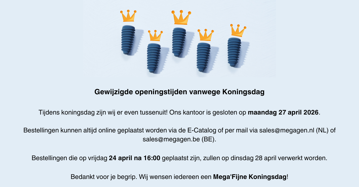 Mega'Kingsday